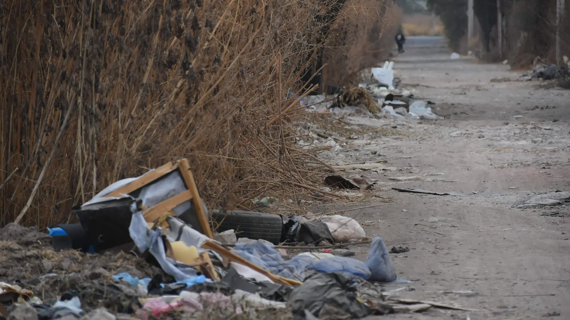 TIRAN DE TODO TIPO DE BASURA, JESUS GTZ EL SOL DE IRAPUATO (1)